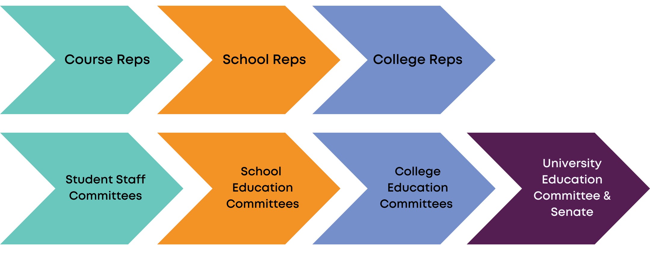 UG&PGT Rep Structure